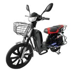 Factory direct sale of Yuying head, Bailingwang CG pedal, sports seat, LED taillight electric bike.